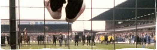 Terrace Links